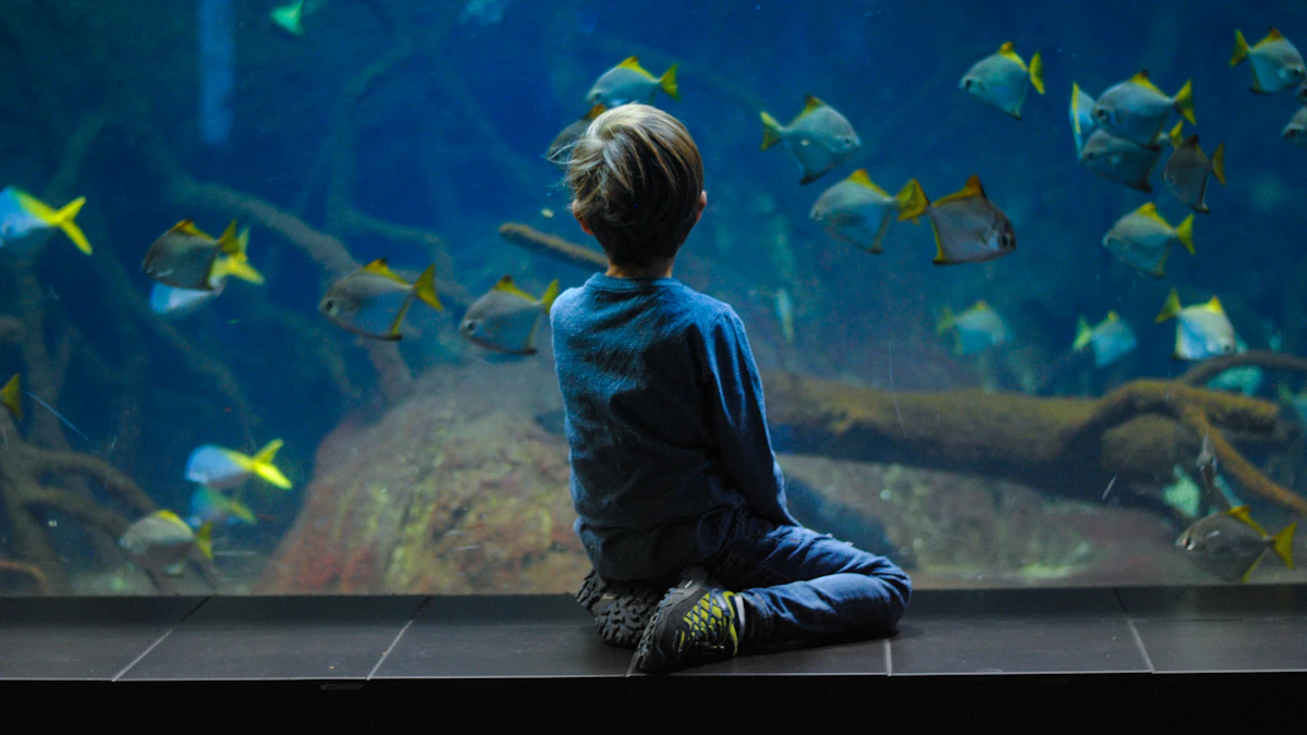 儿童从远处安静观察大型水族展缸